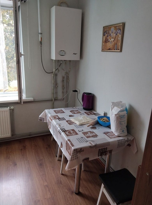 Однокімнатна квартира с.Гаврилівка Гавриловка - изображение 5