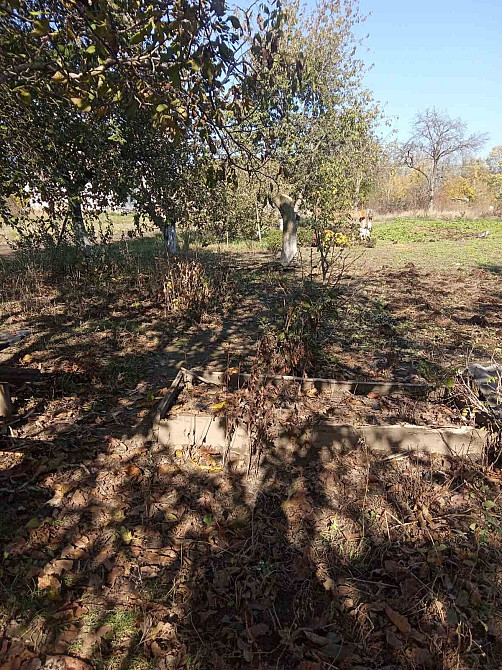 Продам квартиру 4 кімнати!! Тараща - зображення 6