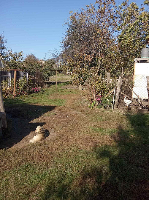 Продам квартиру 4 кімнати!! Тараща - зображення 8