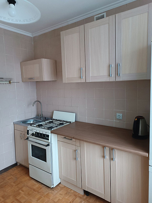 Центр міста. Вільна 2к. Вишгород - зображення 2