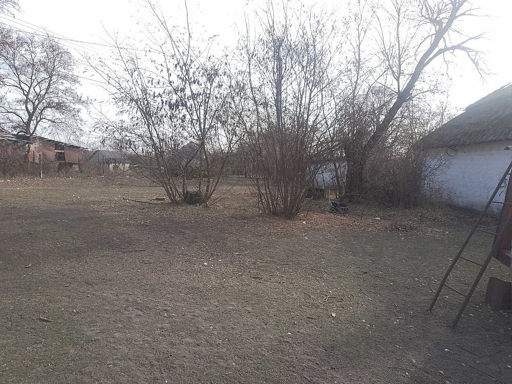 Здам квартиру рад селі Радостное (Одесская обл.) - изображение 1