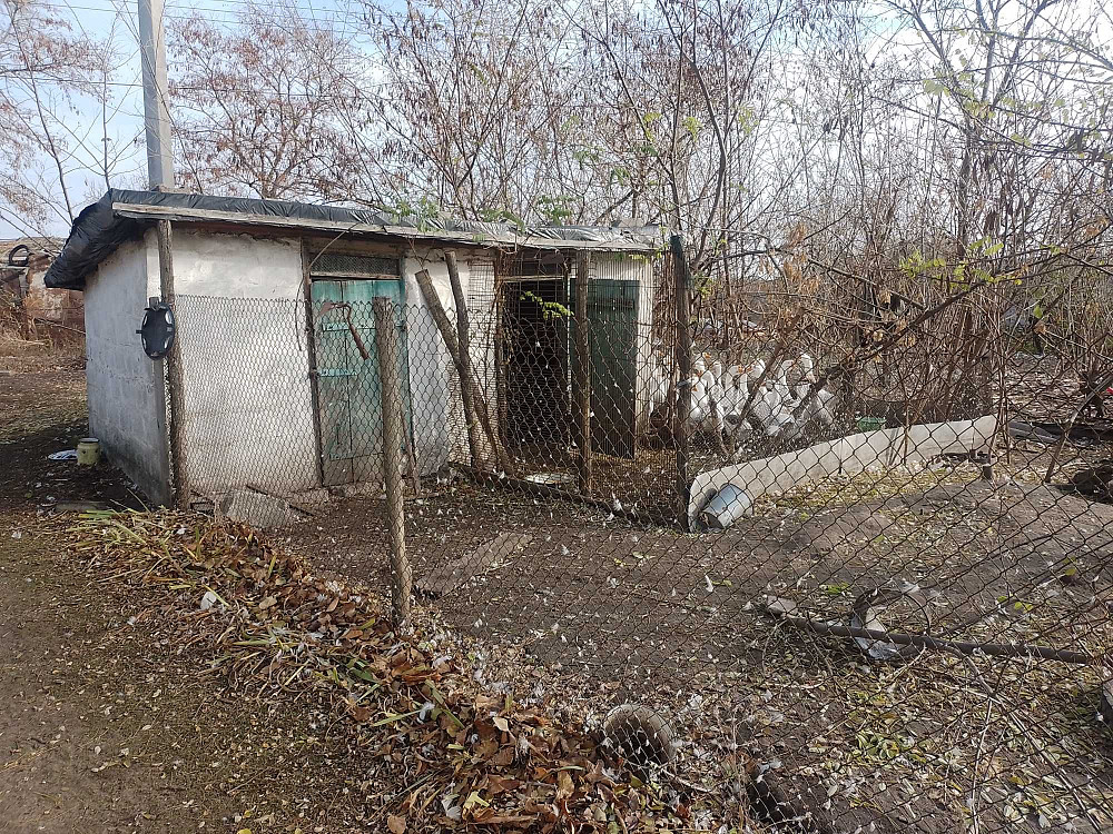 Здам квартиру рад селі Радостное (Одесская обл.) - изображение 6