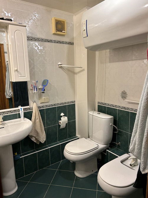 Квартира студия на Бородинском ( 68 квадратов с ремонтом и мебелью ) Запоріжжя - зображення 5