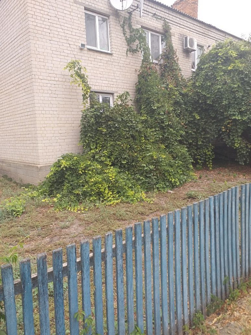 Продам квартиру. Князе-Григоровка - изображение 2