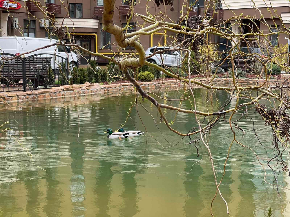 Продам квартиру в сданом доме. Ключи на руках ЖК София Резиденция 40м2 Софіївська Борщагівка - зображення 5