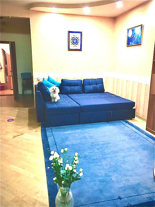 Оболонские Липки Оренда  1 кім  вул.ІВАСЮКА 24 Київ - зображення 3