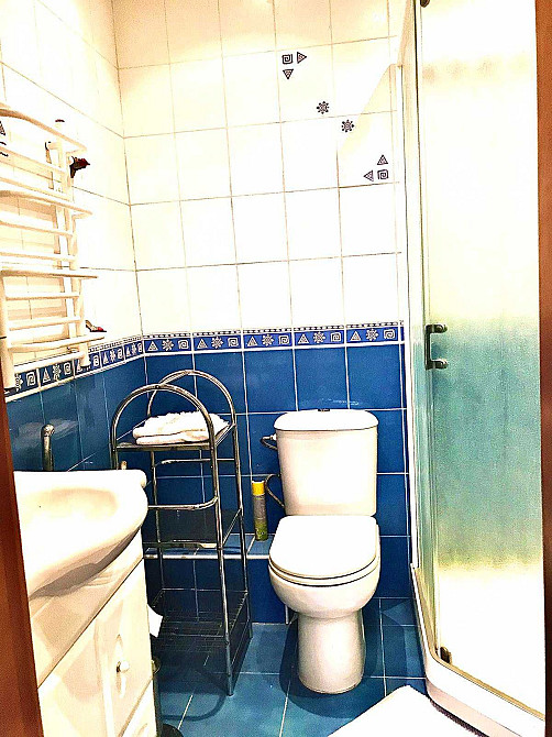 Оболонские Липки Оренда  1 кім  вул.ІВАСЮКА 24 Київ - зображення 8