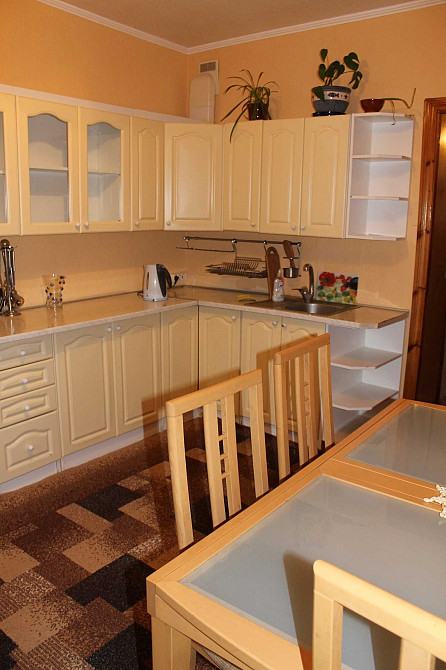 М.Позняки-10 хв, Драгоманова. Вбудована кухня. 2 шафи-купе. 2 дивани Київ - зображення 4