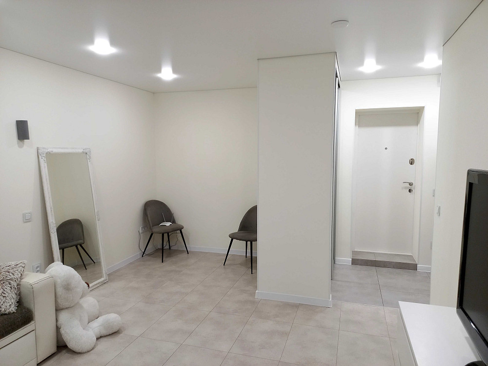 Здам 1-кімнатну квартиру  в районі Сінного ринку  з ремонтом Житомир - зображення 6