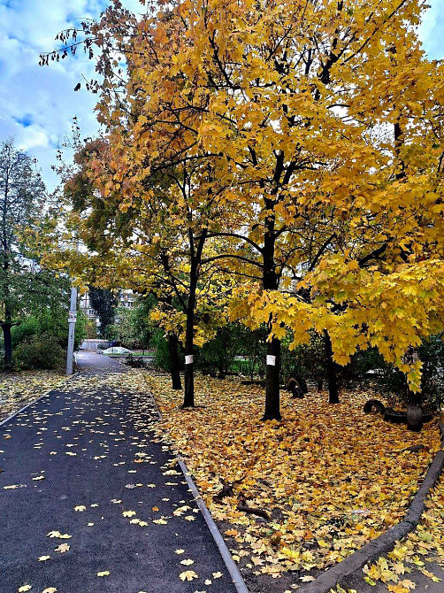 Покровский Коммунар Можно по безналу через банк Дніпро - зображення 8