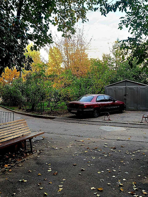 Покровский Коммунар Можно по безналу через банк Дніпро - зображення 5