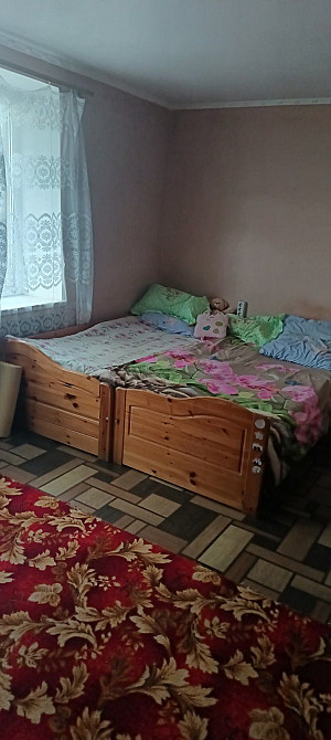 Оренда однокімнатної квартири. Берегове - зображення 1