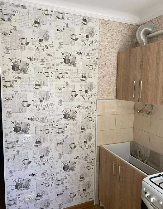 Сдаю 1к квартиру Проспект Мира/ рынок Колос Николаев - изображение 3