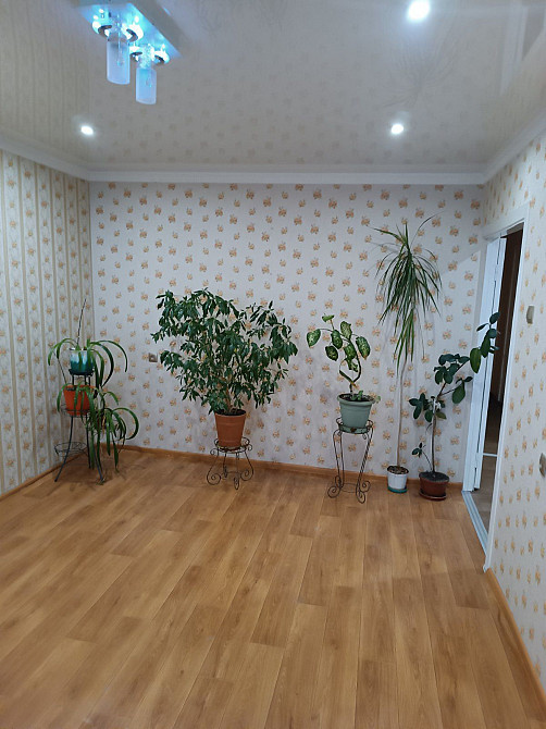 Продаю срочно 2к квартиру на Ателье Миколаїв - зображення 5