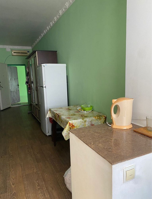 Сдам однакомнатную квартиру частный сектор улица Литовская Одесса - изображение 7