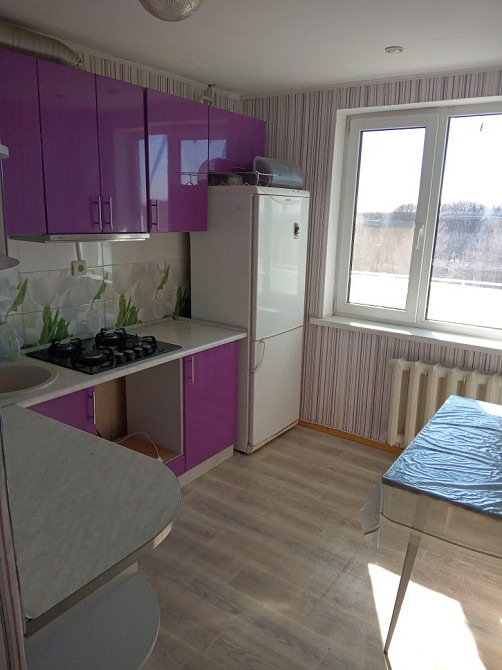 Здам однокімнатну р-н Болгарбуд Звягель - изображение 1