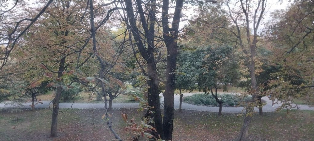 Продам однокімнатну квартиру в центрі міста Олександрія (Рівненська обл.) - зображення 4