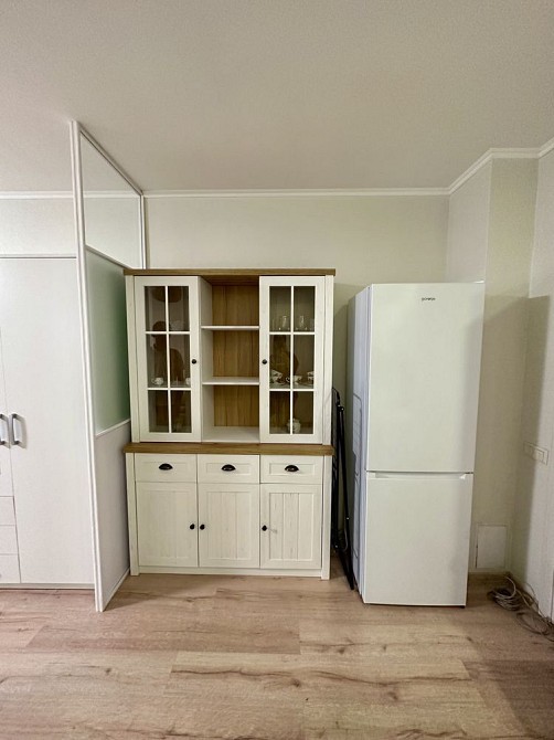 Аренда 1 кімнатної квартири ЖК «ГРЮНВАЛЬД» Київ - зображення 5