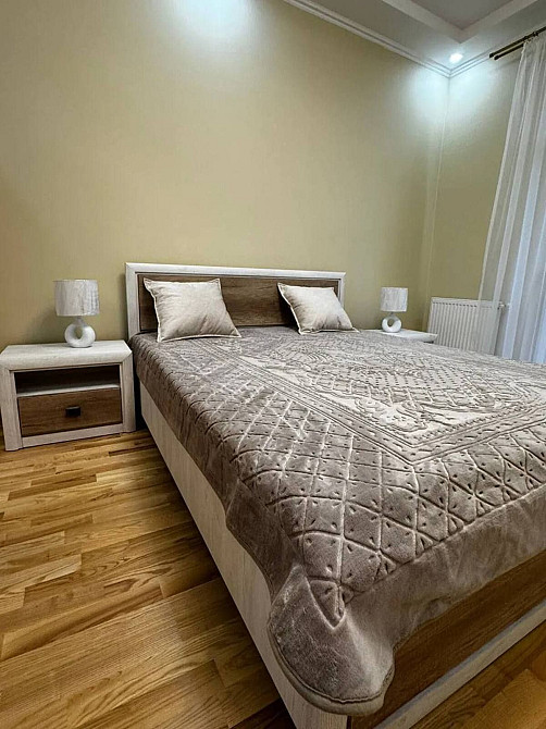 Оренда двокімнатної квартири по вул.Тлехаса Ужгород - зображення 5