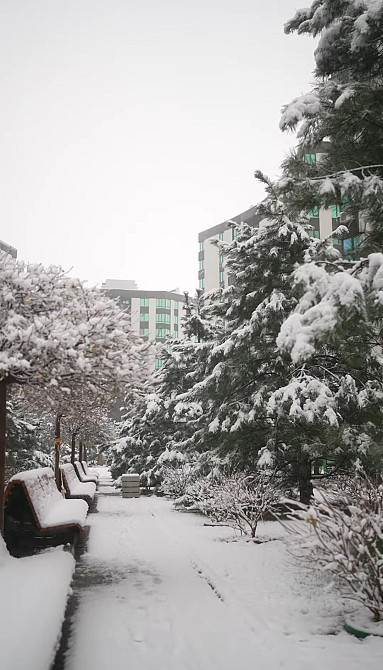 45м² ЗАВЖДИ Є СВІТЛО ЕвроДвушка У-квартал Бомбосховище Борщагівка Софіївська Борщагівка - зображення 7