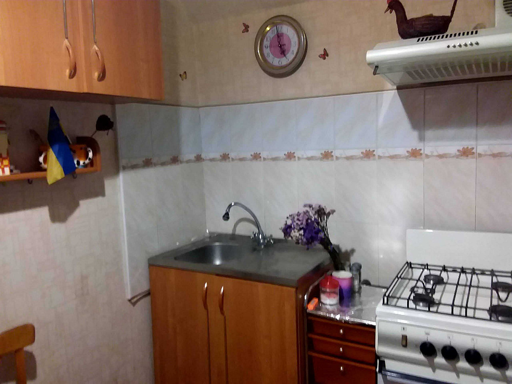 Лісовий  масив. Братиславська 36. Здам охайну 1 кім.кв, Газплита Київ - зображення 1