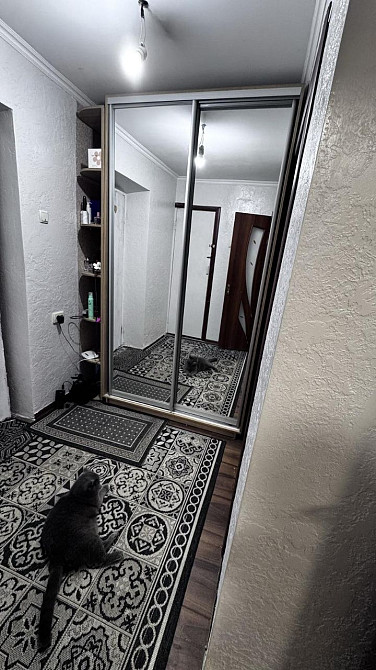 Оренда 1 кімнатної квартири. Можна з тваринами Хмельницький - зображення 6