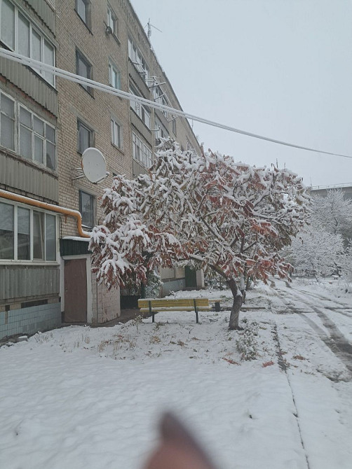 Продам 3-х кімнатну квартиру Великие Борки - изображение 6