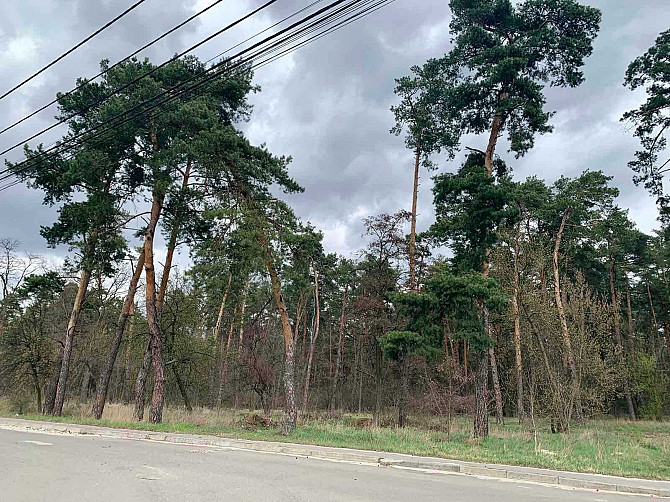 Від забудовника. Найцікавіша ціна. Метро Бориспільська 450 метрів. Kyiv - photo 4