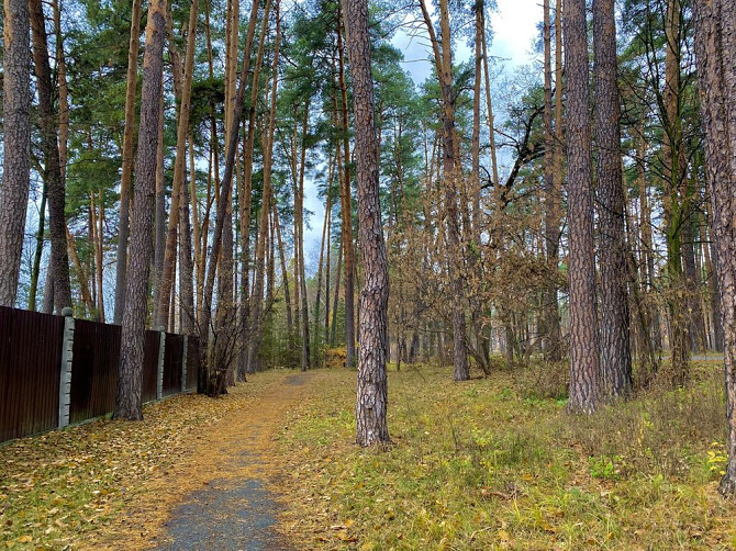 3 кімнатна квартира, індивідуальне опалення, гараж та погріб в ціні Borodianka - photo 7