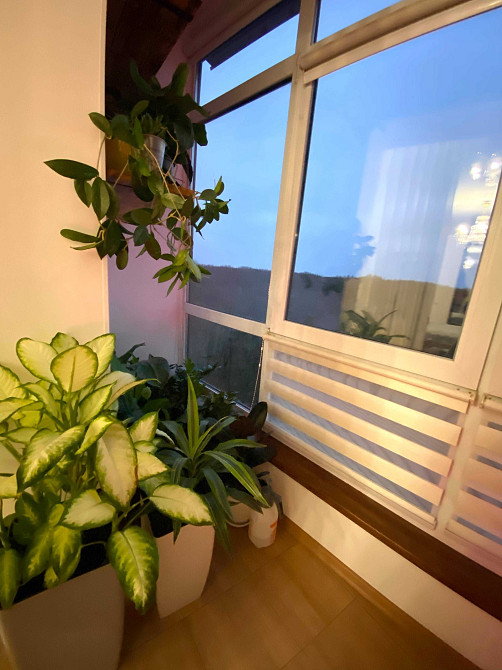 Продам 1к.к.в VRV  ID: 36876 Лісові Гринівці - зображення 5