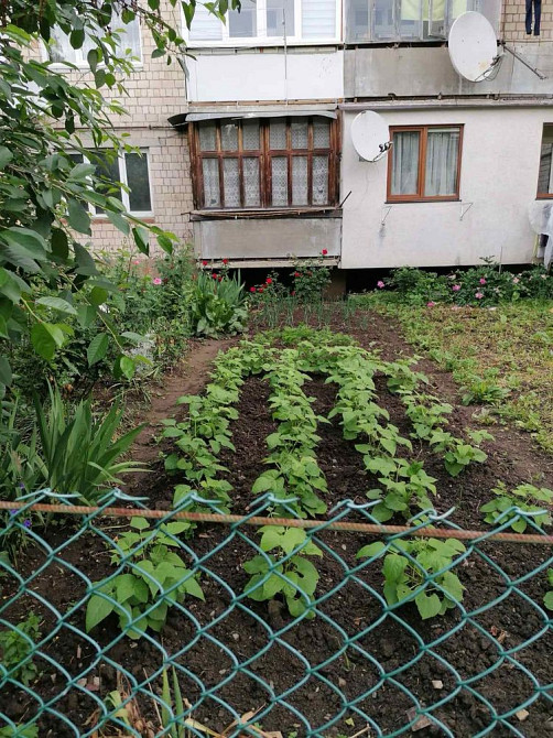 Продається 3 кімнтна квартира в м Вижниця Вижница - изображение 6