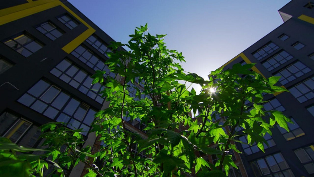 Двокімнатні Апартаменти 50м ЖК ШЕНГЕН у збудованому будинку Львів - зображення 6