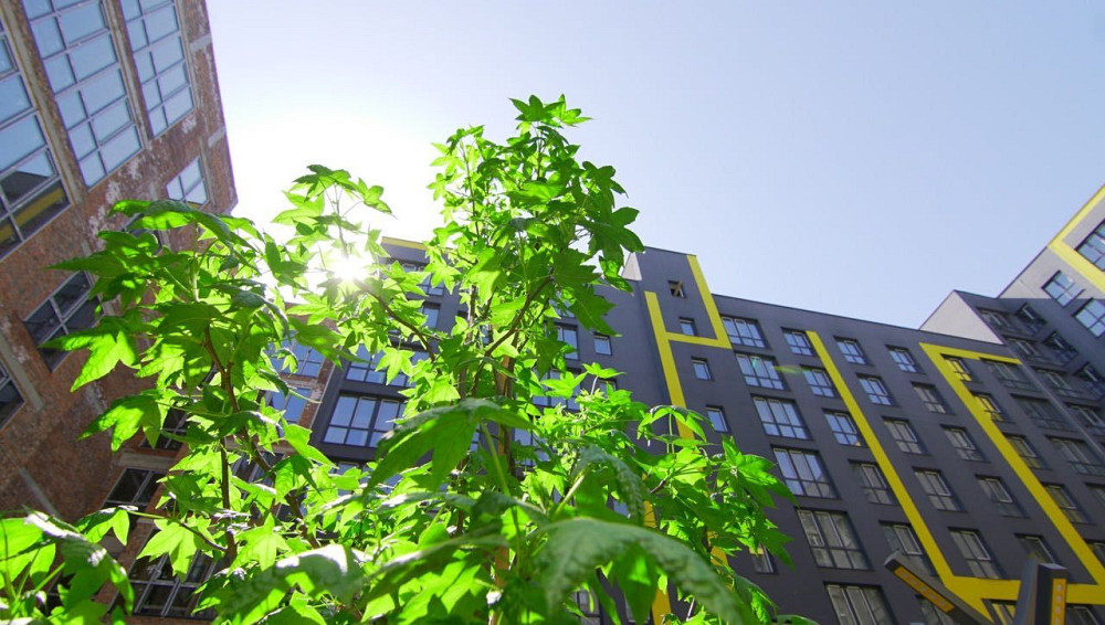 ЖК "Шенген" апартаменти у новобудові площею 42.4м2. Недорого. Львів - зображення 7