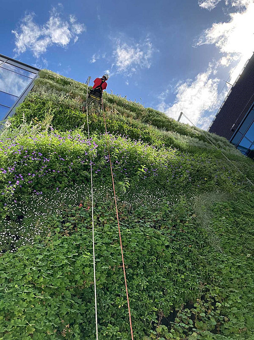 Унікальна квартира з видом на живу стіну в Utlandia 2+ новорічна ціна Ирпень - изображение 1