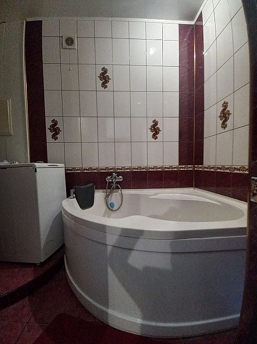 Оренда однокімнатної квартири Червона( Трампарк) Кривий Ріг - зображення 6