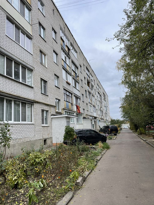 Оренда 2- кім квартири на довготрмвалий термін з АО 5/5 цегла Житомир - зображення 1