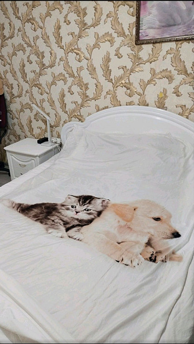 Здам 2 - х кімнатну квартиру.Проспект Хмельницкий - изображение 3