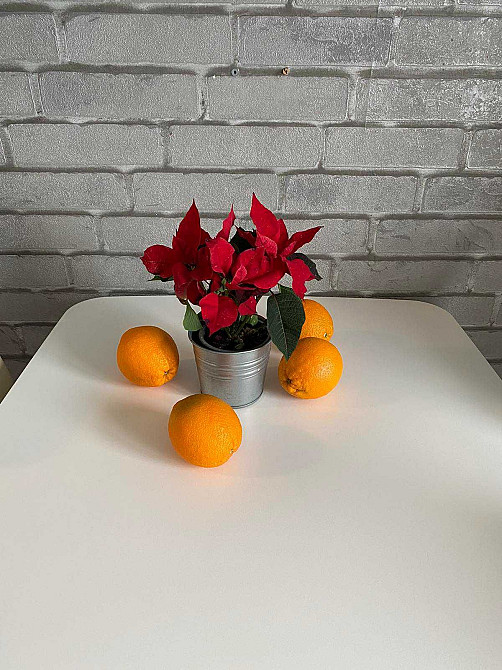 Аренда 1-ком.кв,Победа -5 Дніпро - зображення 4