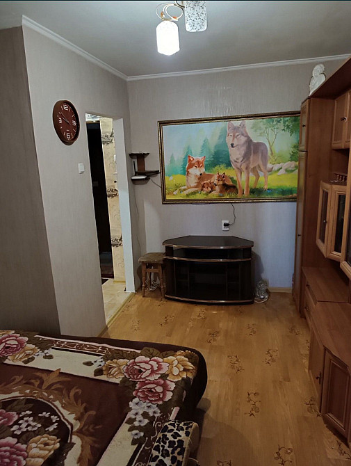 Аренда уютной 1к квартиры на Шоссейной на долгий срок Николаев - изображение 1