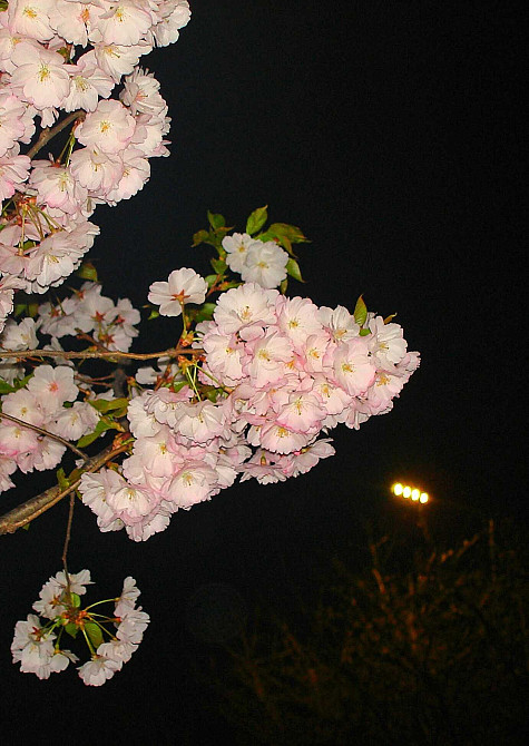 2-х кімнатна КУТОВА ПЕРШИЙ ПОВЕРХ від 2-х м. проїзджа частина Винница - изображение 6