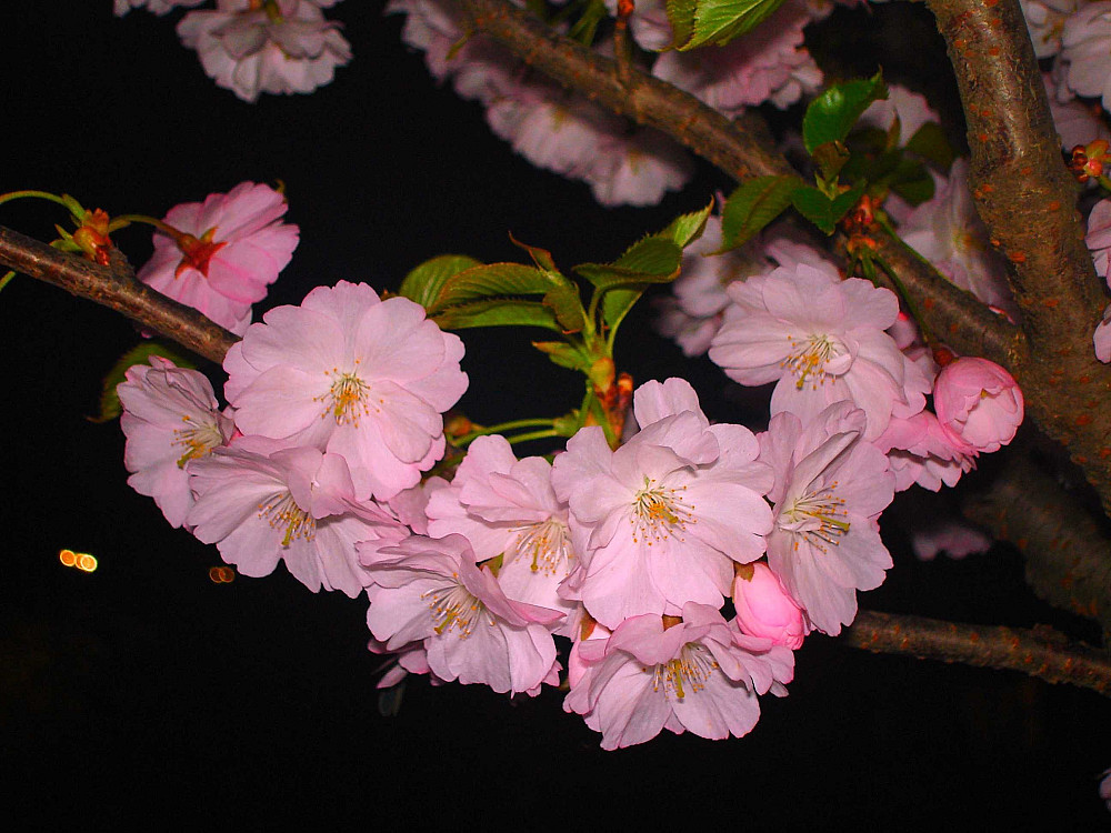 2-х кімнатна КУТОВА ПЕРШИЙ ПОВЕРХ від 2-х м. проїзджа частина Винница - изображение 7