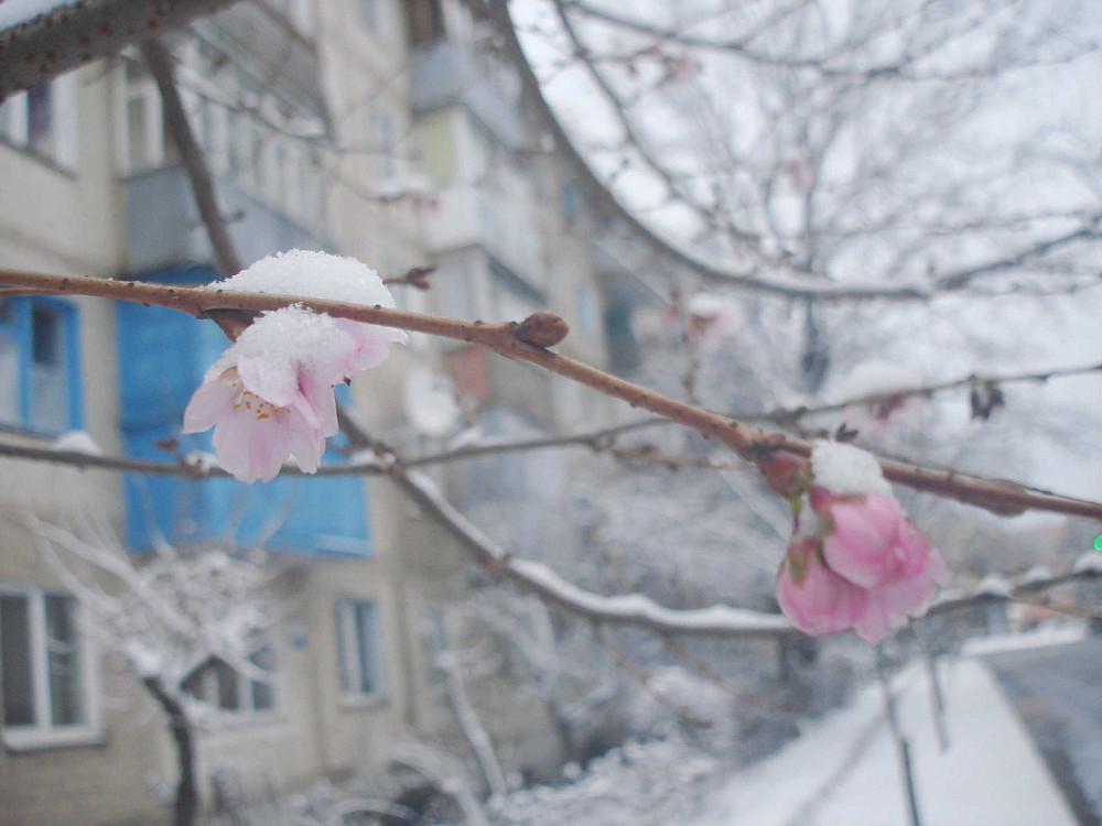 2-х кімнатна КУТОВА ПЕРШИЙ ПОВЕРХ від 2-х м. проїзджа частина Винница - изображение 2