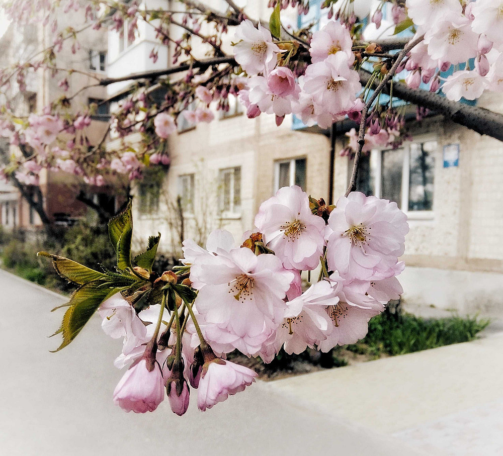 2-х кімнатна КУТОВА ПЕРШИЙ ПОВЕРХ від 2-х м. проїзджа частина Винница - изображение 1