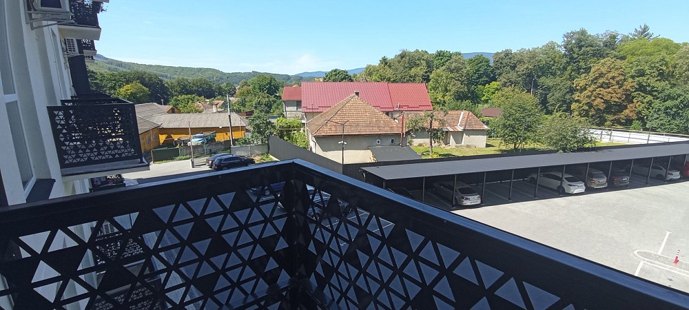 Продаємо чудову трьох кімнатну квартиру Свалява Закарпатської Свалява - зображення 8