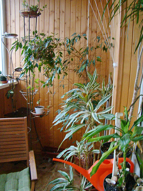 Здається в аренду 3-кімнатна кв-ра вул.А.Ахматової б.37 Київ - зображення 6