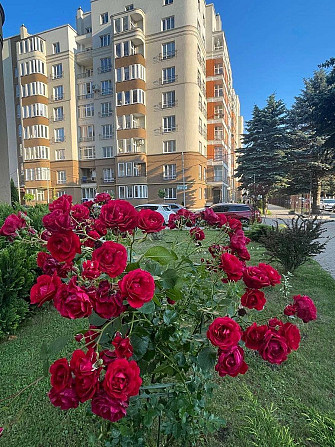 3-х кімнатна квартира в новобудові в ЖК Квіти Львова від власника Lviv - photo 1