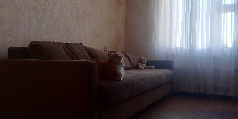 1-комнатная квартира между метро Лукьяновская и Контрактовая площадь Київ - зображення 4