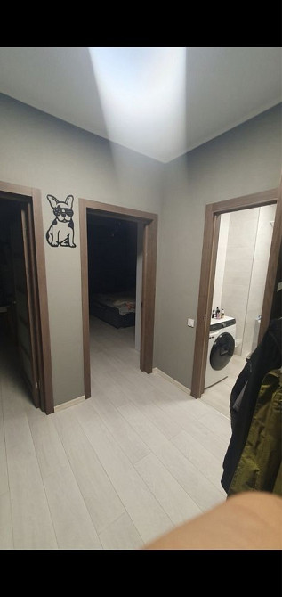 Євродвушка аід власника Киев - изображение 8