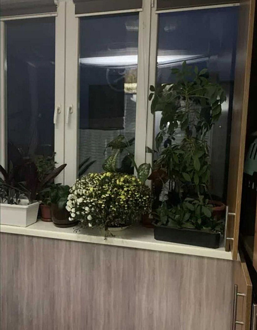 Продажа 2 х комнатная квартира ул Нагнибеды Коммунарский Пески Запоріжжя - зображення 5