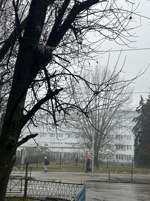 Найдешевша 4к квартира. Без комісій. Мінім.оформлення. Хмельницький - зображення 2